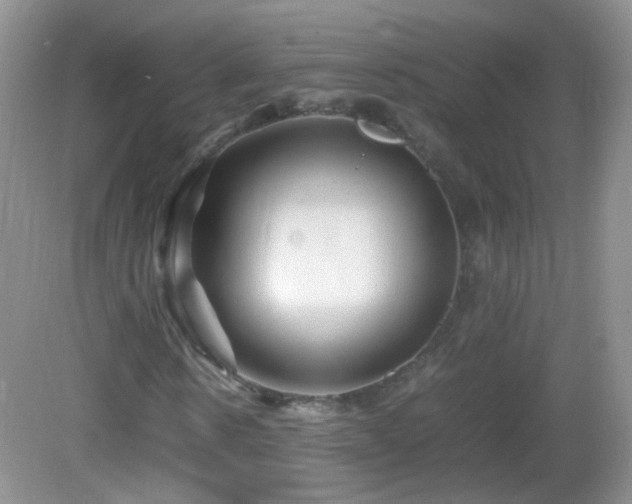 X0000083000914200702011451