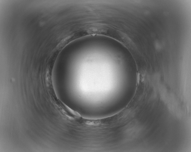 X0000083000915200702011451