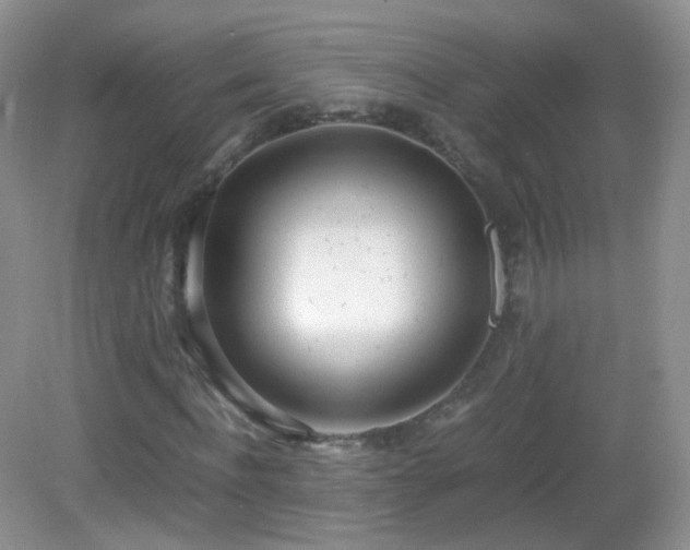 X0000083000916200702011451