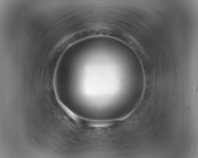 X0000083000919200702011451