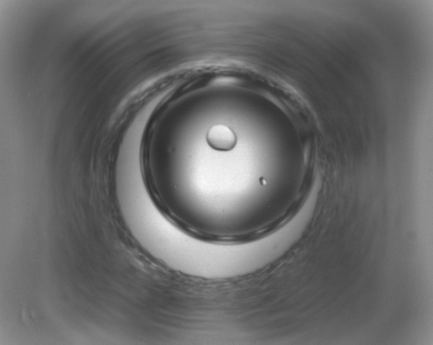 X0000083000920200702011451