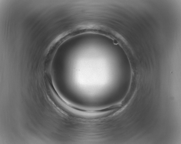 X0000083000922200702011451