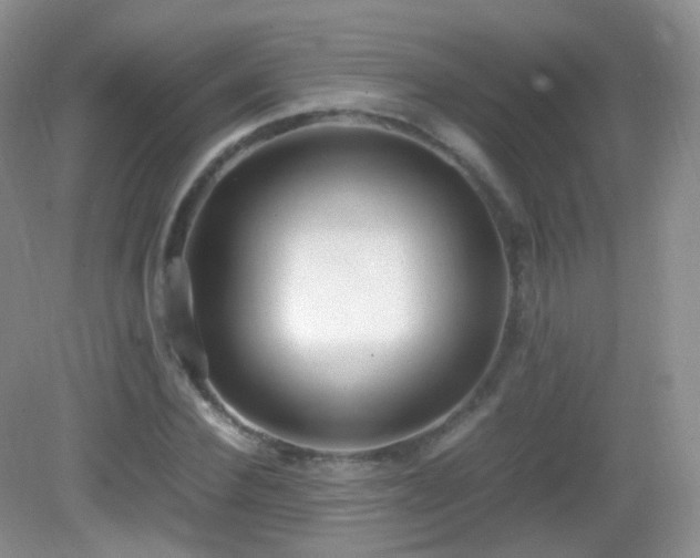 X0000083000924200702011451