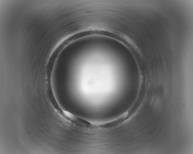 X0000083000926200702011451