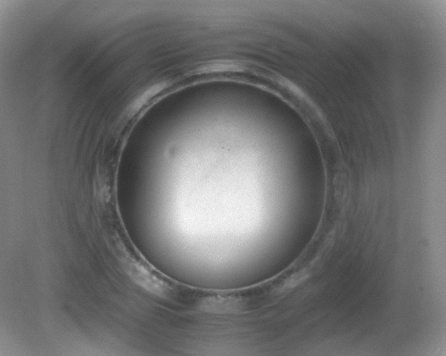 X0000083000929200702011451