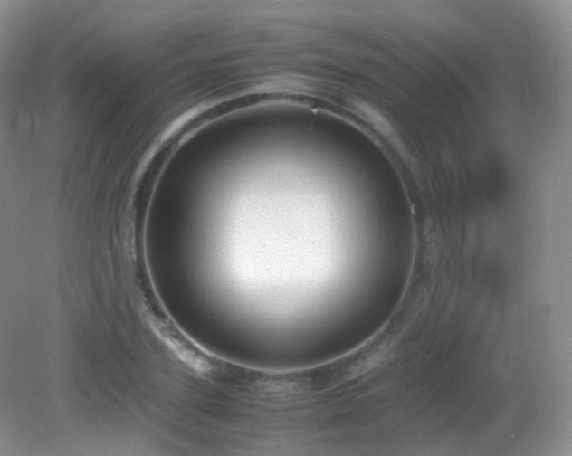X0000083000931200702011451