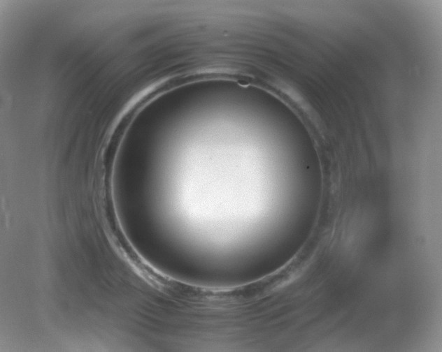 X0000083000933200702011451