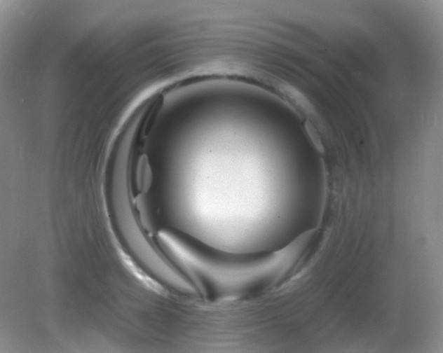 X0000083000942200702011451