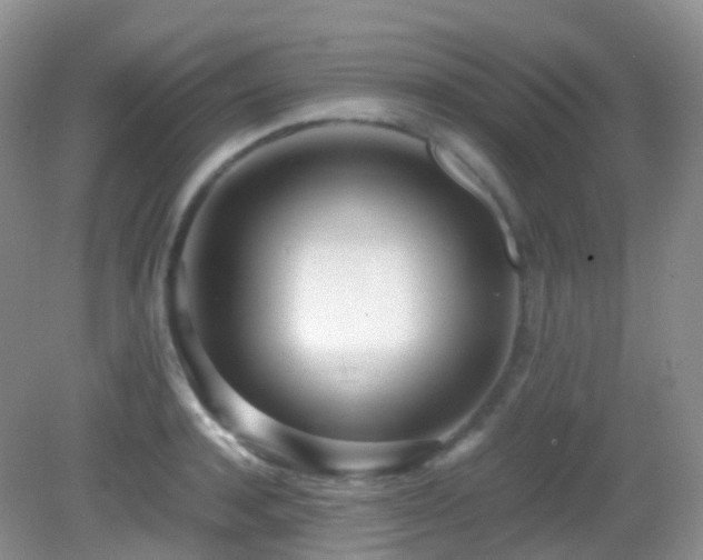 X0000083000944200702011451