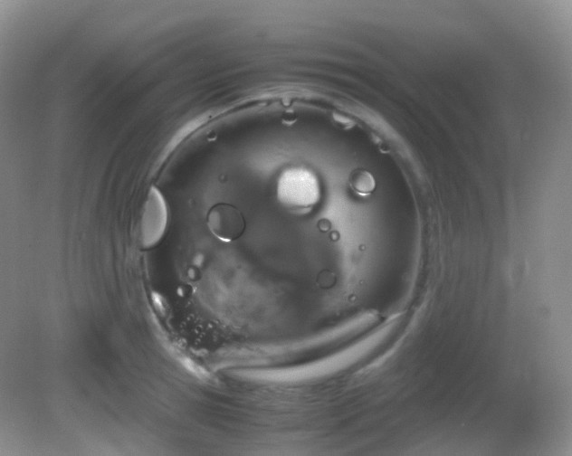 X0000083000945200702011451