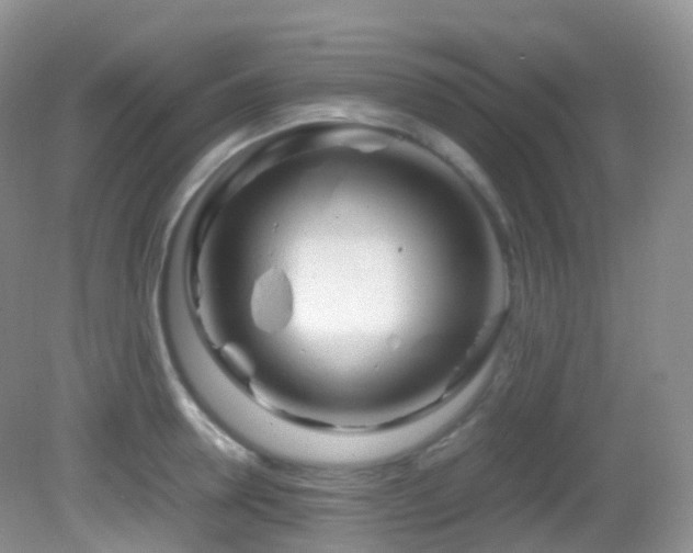 X0000083000946200702011451