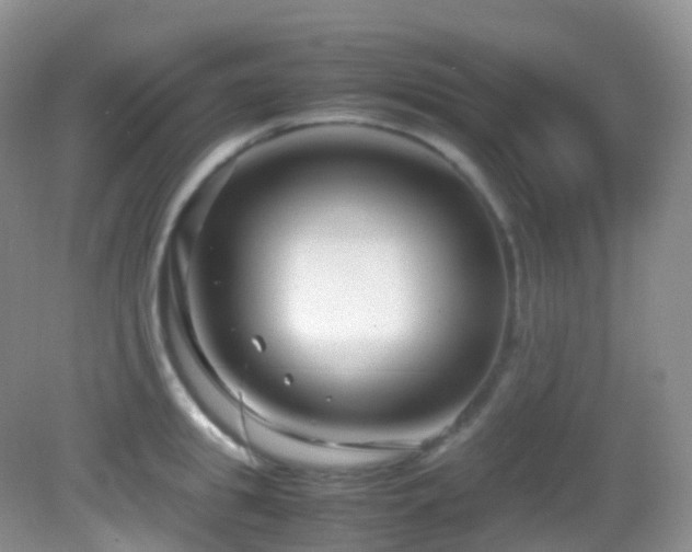 X0000083000949200702011451