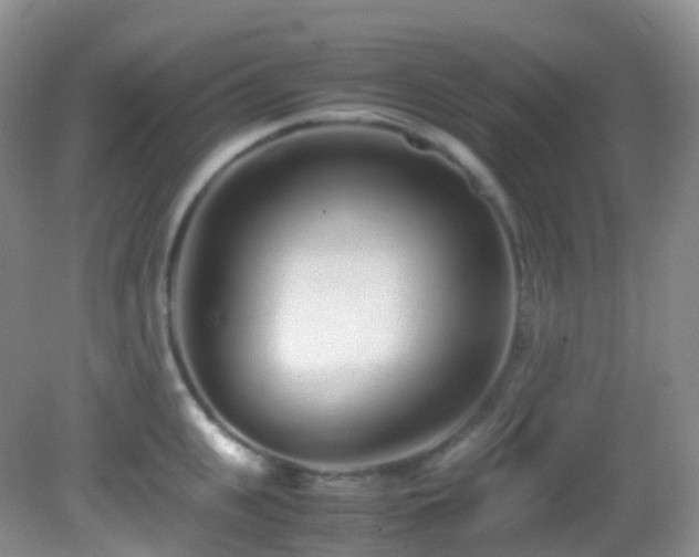 X0000083000951200702011451