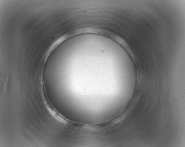 X0000083000954200702011451