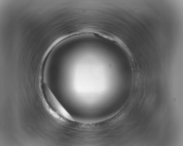 X0000083000955200702011451