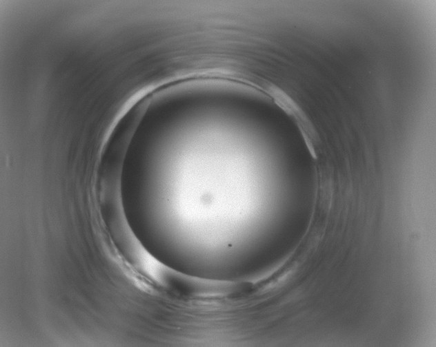 X0000083000956200702011451