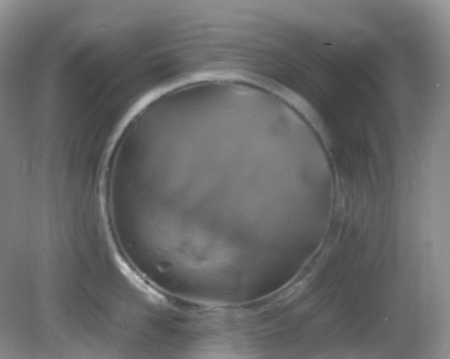 X0000083000958200702011451