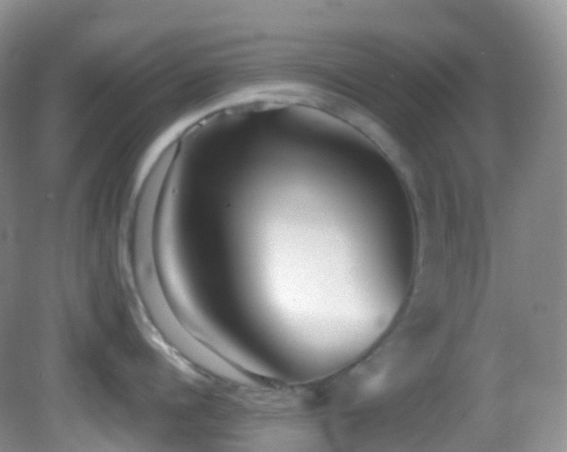 X0000083000960200702011451