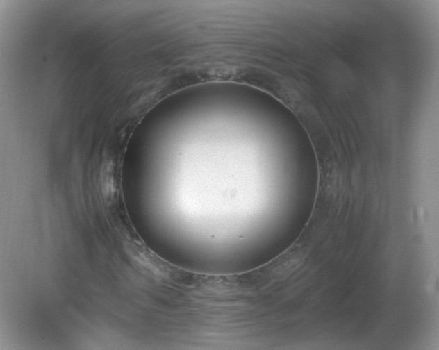 X0000083000962200702011451