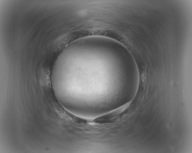 X0000083000963200702011450