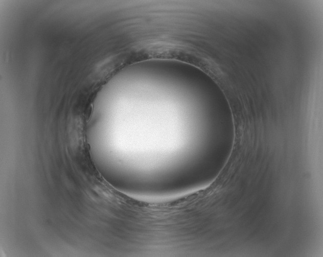 X0000083000964200702011450