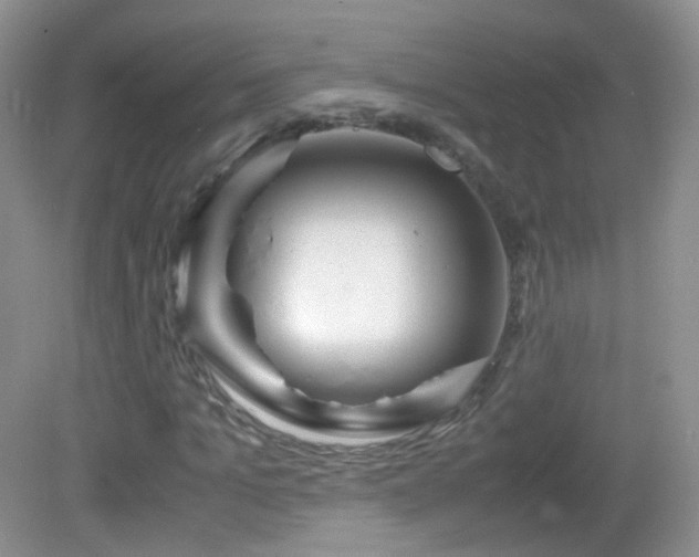 X0000083000965200702011450