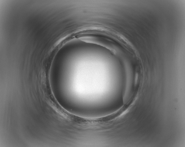 X0000083000969200702011450