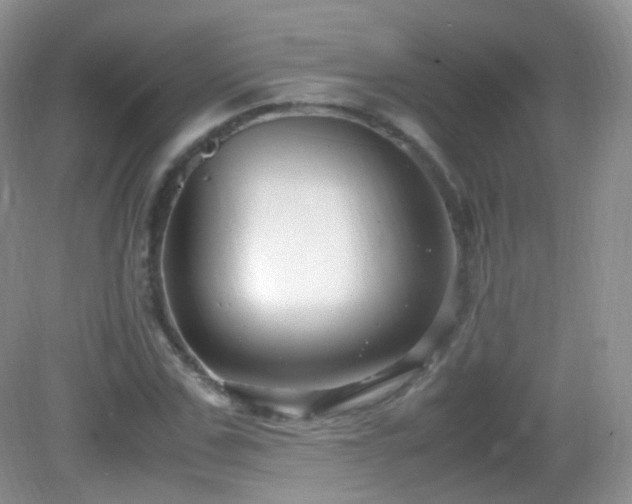 X0000083000971200702011450