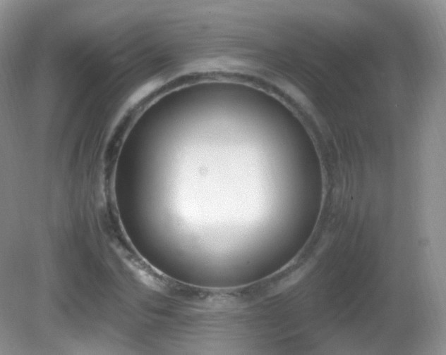 X0000083000974200702011450