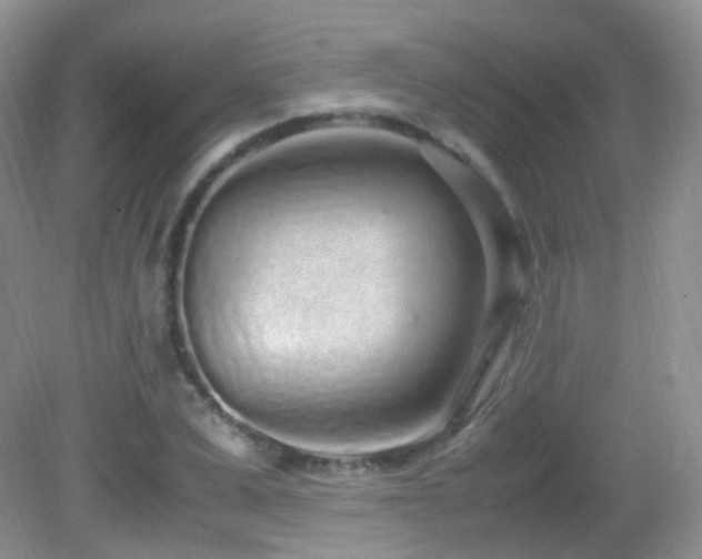 X0000083000975200702011450