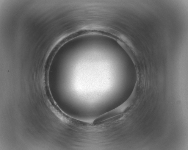 X0000083000976200702011450