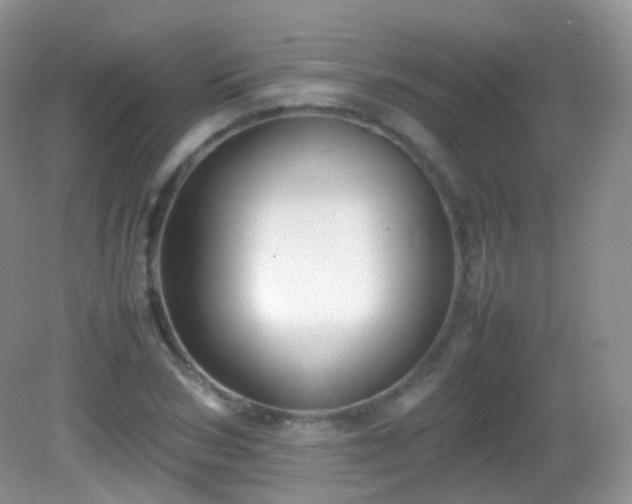 X0000083000978200702011450