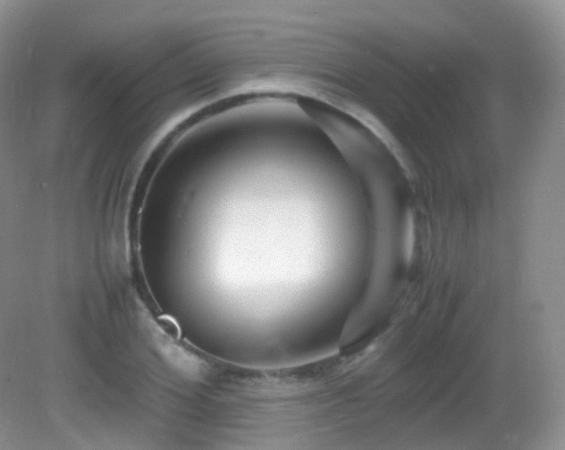 X0000083000980200702011450