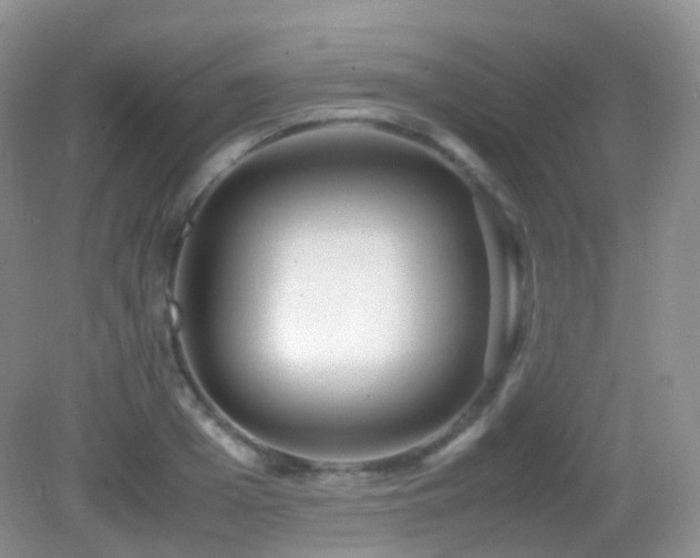 X0000083000985200702011450