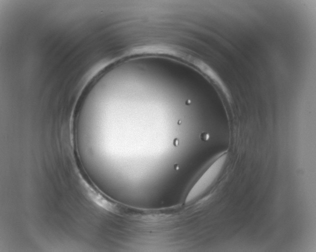 X0000083000988200702011450