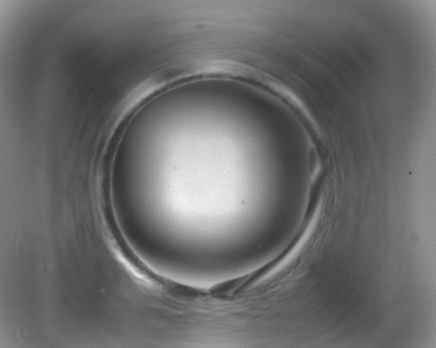 X0000083000991200702011450
