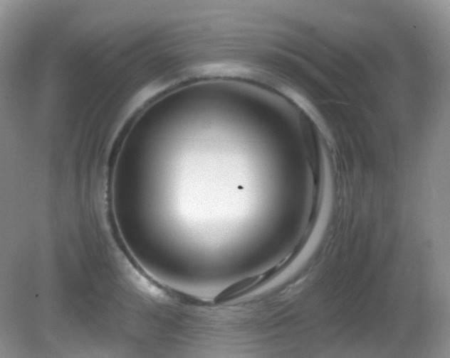 X0000083000992200702011450