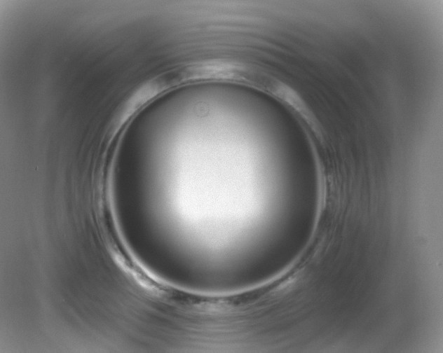 X0000083000994200702011450