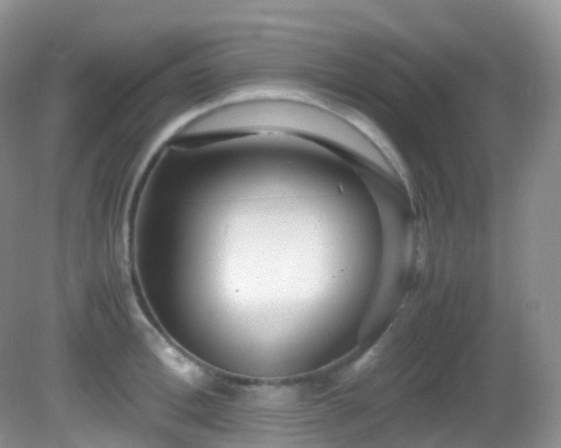 X0000083000996200702011450