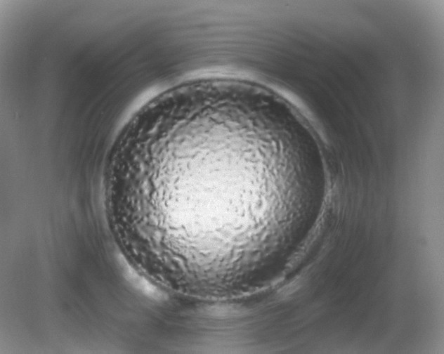X0000083000998200702011450