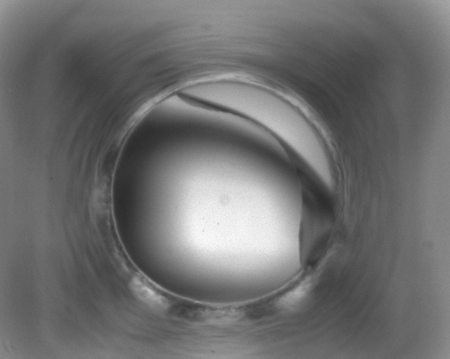 X0000083001001200702011450