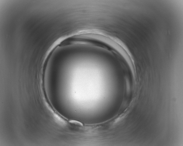 X0000083001005200702011450