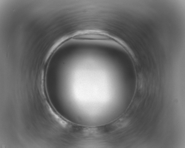 X0000083001006200702011450