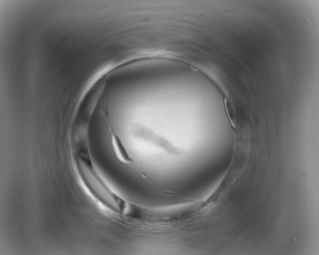 X0000083001007200702011450