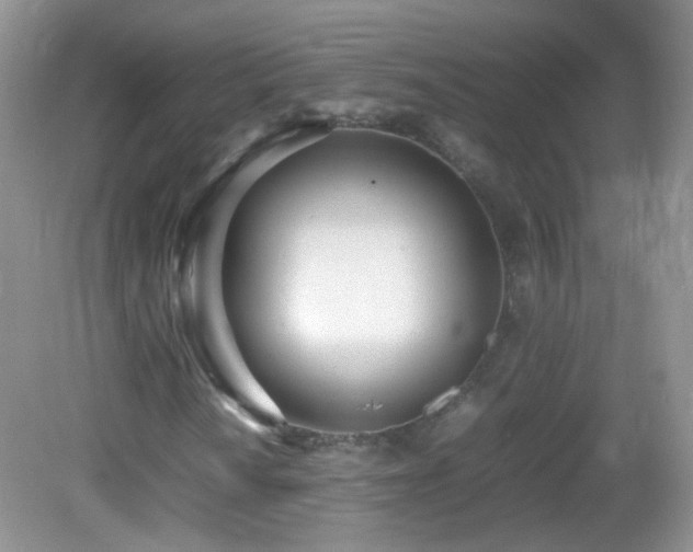X0000083001010200702011449