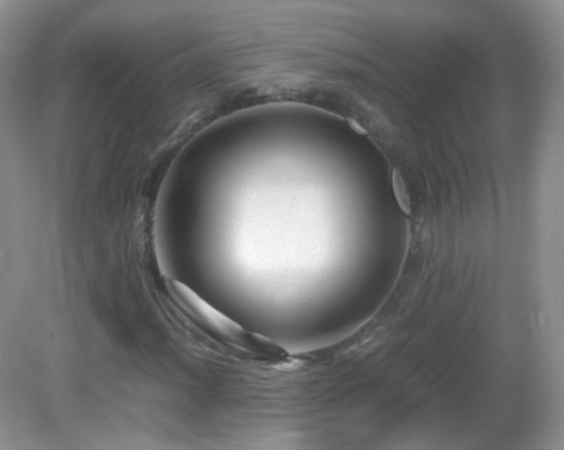 X0000083001012200702011449