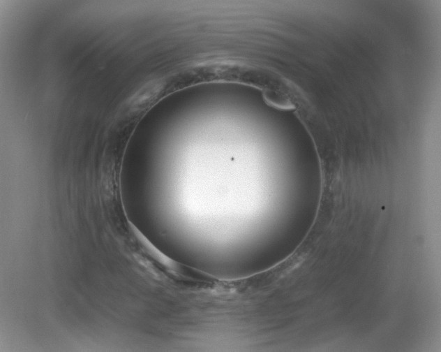 X0000083001014200702011449