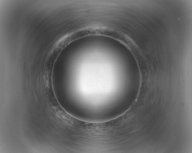 X0000083001016200702011449