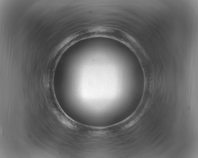 X0000083001017200702011449