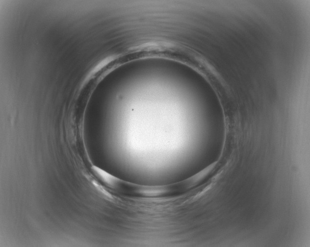 X0000083001018200702011449